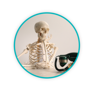 Skeleton Circle Images DANUKB251029