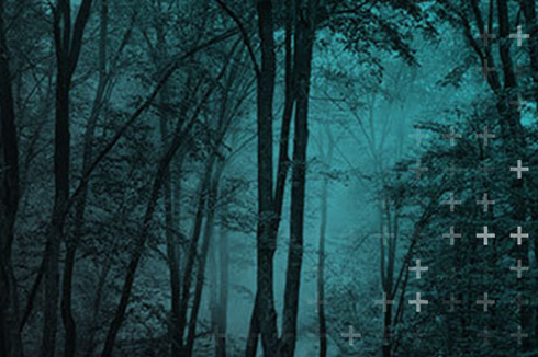Carousel ShapingFuture Environment USA 86CarbonEmissions