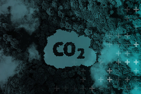 Carousel ShapingFuture Environment USA CarbonLifeCycle